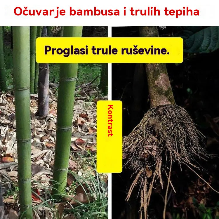 š„ćVremenski ograniÄena ponudaćšš±Ciklozinonski herbicid