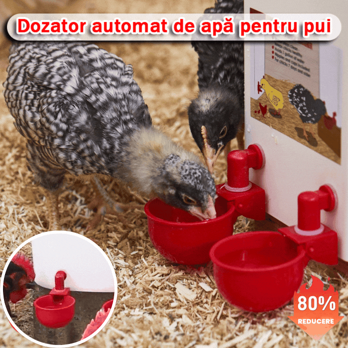 🔥🐔【Cumpărați 10 și primiți 10 gratuit】【20 buc】Bol de băut automat pentru păsări de curte
