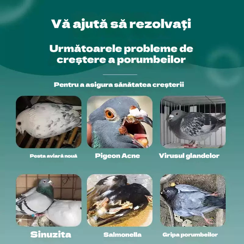 🕊️🕊️100 de comprimate, medicament special pentru porumbei voiajori, tratament 6 în 1 pentru porumbei - vindecare rapidă, rezultate semnificative