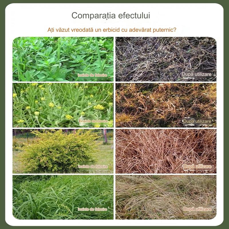 🌿【Cumpără 1 și primește 2 gratis】 Erbicid glufosinat de amoniu foarte concentrat