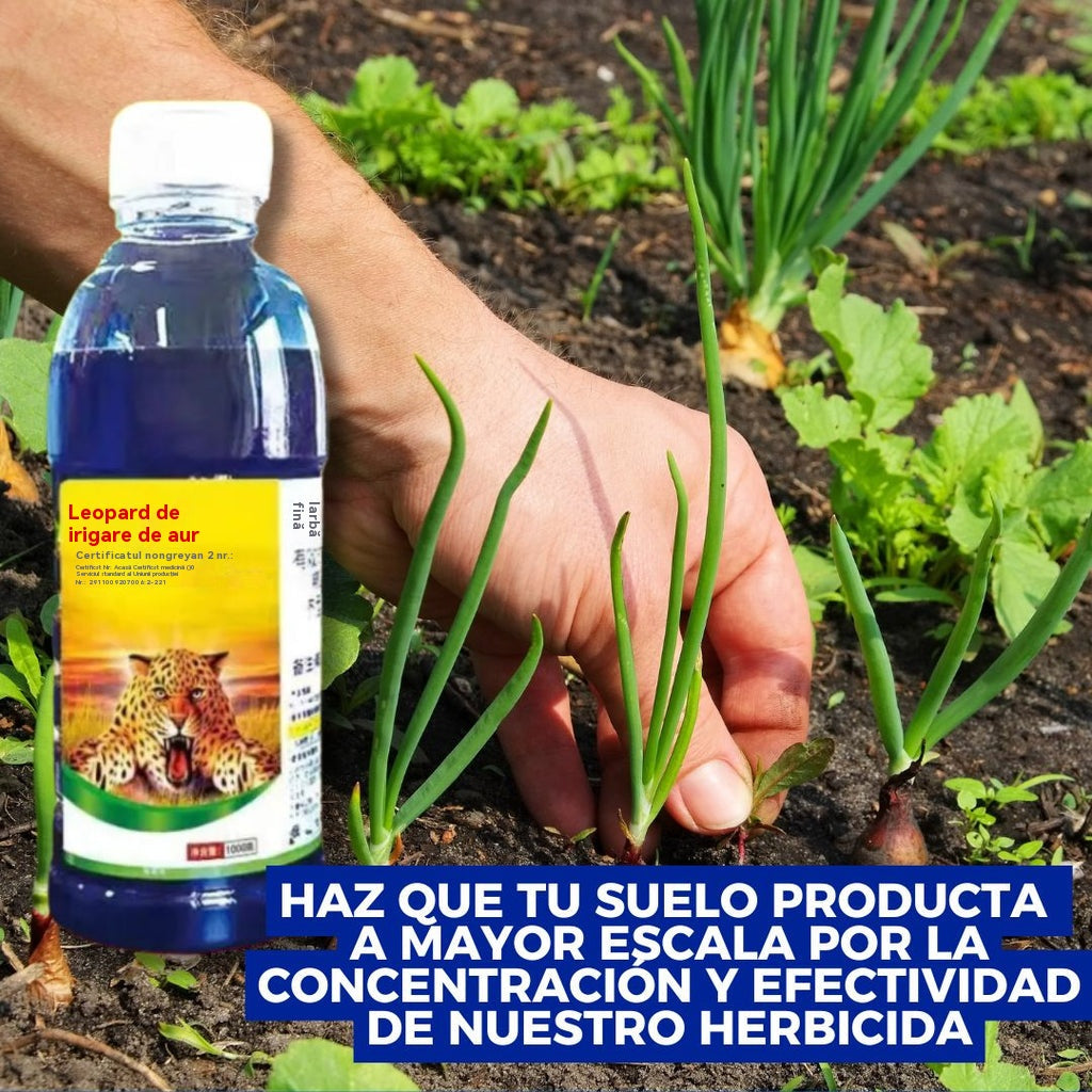 🌿【Cumpără 1 și primește 2 gratis】 Erbicid glufosinat de amoniu foarte concentrat
