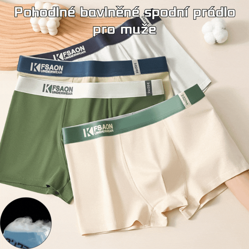 🔥【Kupte 3, získejte 3 zdarma】🧊 Pánské spodní prádlo, čistá bavlna, pohodlné, prodyšné